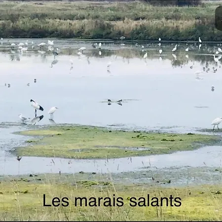 Appt, Terrasse ,velo , Plages & Port A Proximite , Idealement Bien Situe, Dernier Etage La Baule-Escoublac