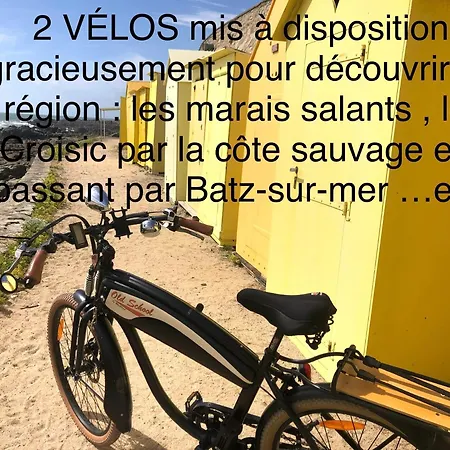 Appartement Appt Lumineux & Calme , Idealement Bien Situe , Velo A Disposition *