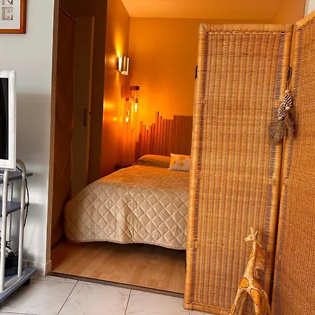 Appartement Appt Lumineux & Calme , Idealement Bien Situe , Velo A Disposition *