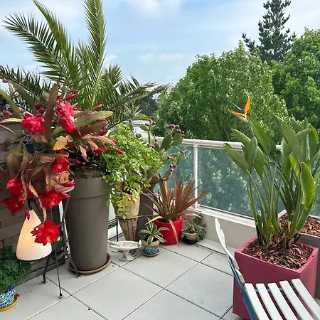 Appt, Terrasse ,velo , Plages & Port A Proximite , Idealement Bien Situe, Dernier Etage