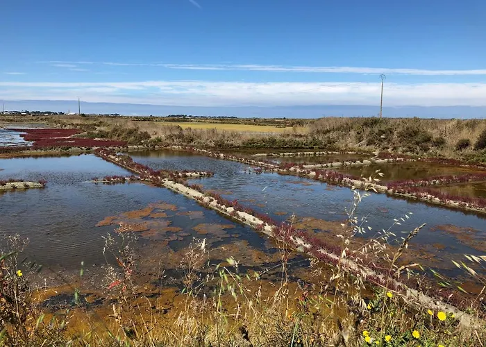 Apartment Appt, Terrasse ,velo , Plages & Port A Proximite , Idealement Bien Situe, Dernier Etage *