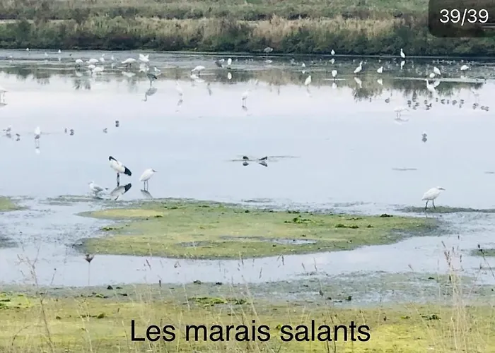 Appt, Terrasse ,velo , Plages & Port A Proximite , Idealement Bien Situe, Dernier Etage La Baule-Escoublac