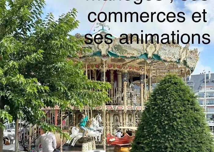 Appt, Terrasse ,velo , Plages & Port A Proximite , Idealement Bien Situe, Dernier Etage Apartment *