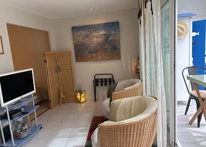 Apartment Appt, Terrasse ,velo , Plages & Port A Proximite , Idealement Bien Situe, Dernier Etage