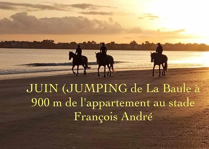 Apartment Appt, Terrasse ,velo , Plages & Port A Proximite , Idealement Bien Situe, Dernier Etage