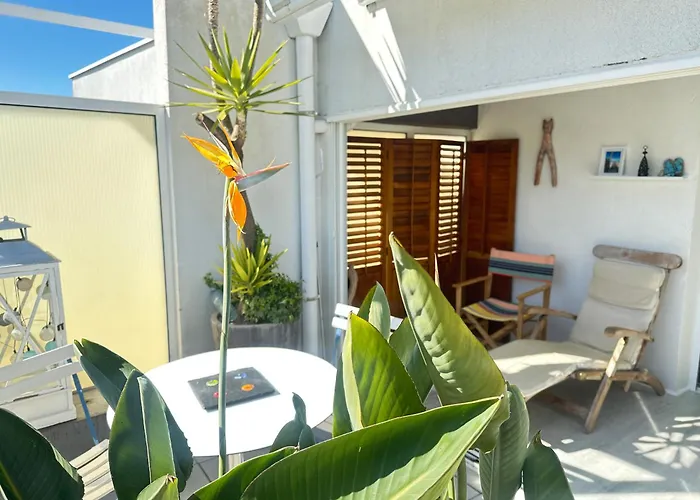 Apartment Appt, Terrasse ,velo , Plages & Port A Proximite , Idealement Bien Situe, Dernier Etage